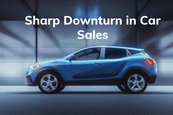 2023-24 Witnesses a Sharp Downturn in Car Sales