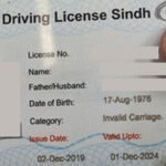 Sindh Government Launches Online Driving License Services for Citizens