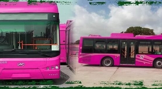 Pink Bus Service
