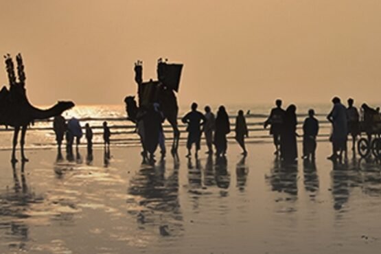 Seaview Road to Remain Open for New Year Celebrations