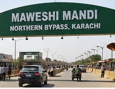 Maweshi Mandi Karachi Entry Pass For Vehicles: Complete Guide for Visitors