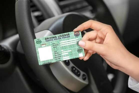 Punjab motorcycle licenses