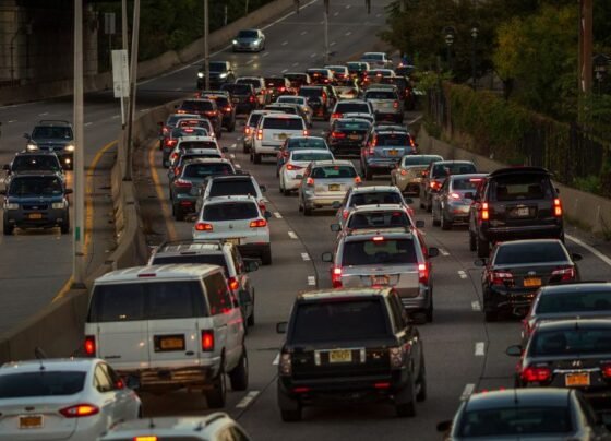 Punjab traffic challans