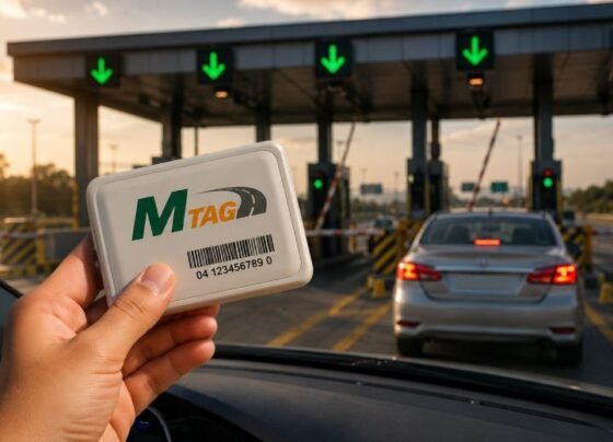 free m tag replacement