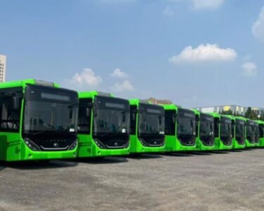 punjab free transport