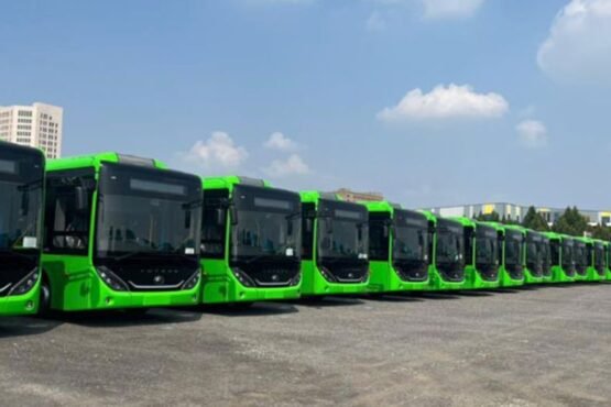 punjab free transport