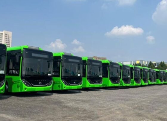 punjab free transport