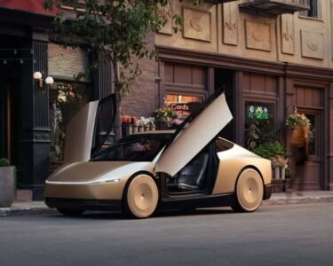 tesla robotaxi range