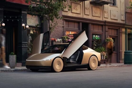 tesla robotaxi range
