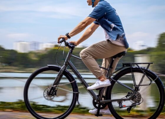 Metro electric bicycle